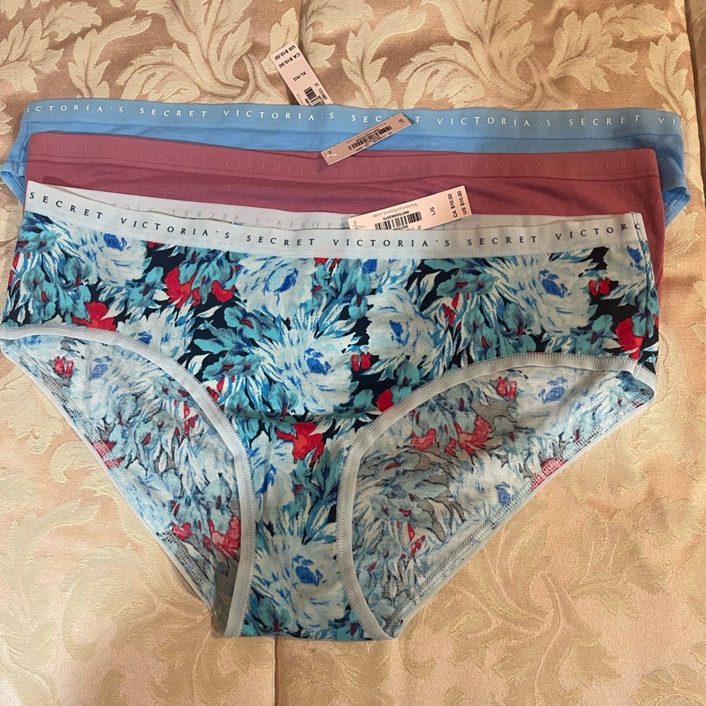 Victoria's Secret Blue Pink Floral Panties-3